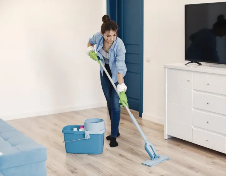 Femme de ménage Concressault